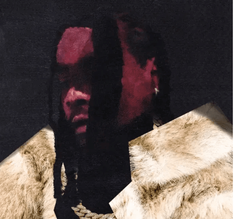 Wale Exclusive Video 4